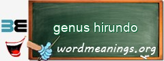 WordMeaning blackboard for genus hirundo